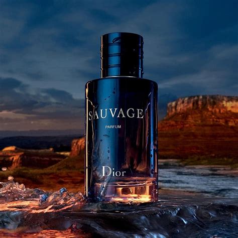 savage dior the bay|dior sauvage cheapest price.